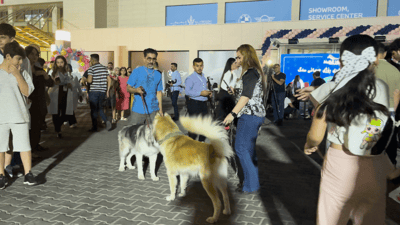 سەگ و شێر پێکەوە نمایش کران