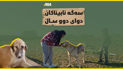 سەگە نابیناکان هێشتا لە ژیاندا ماون