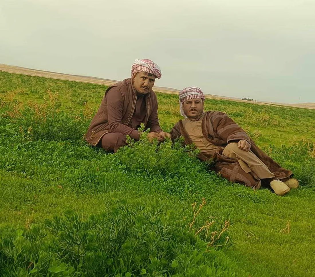 Camping enthusiasts explore the scenic Iraqi desert in Samawah