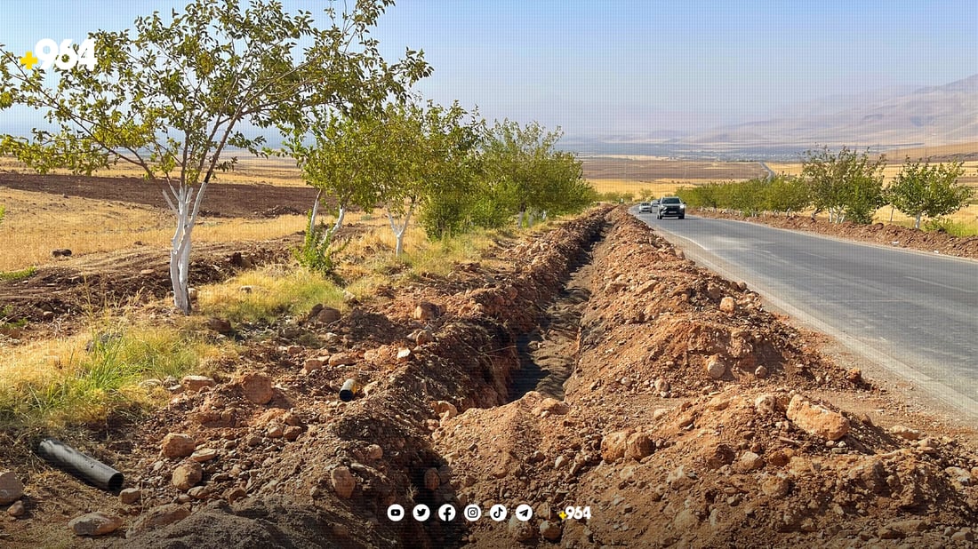 دارەکانی رێگای بیارە دەبوژێنەوە