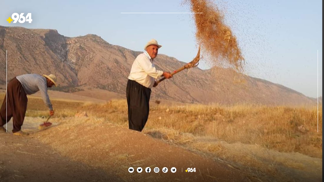 شێخ جەمالی گرپچنە بووە ئەندامی لێکۆڵینەوەی زانکۆیەکی هۆڵەندی