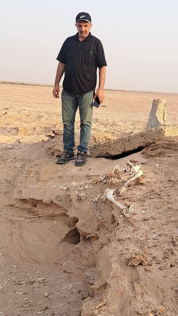 صور: العثور على هياكل عظمية بشرية قرب تل گيطان الأثري في ميسان