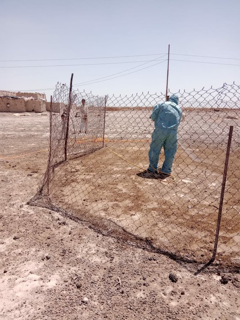 صور: حمّام للأبقار وتغطيس للأغنام في المثنى للتعقيم ومكافحة الحمى النزفية