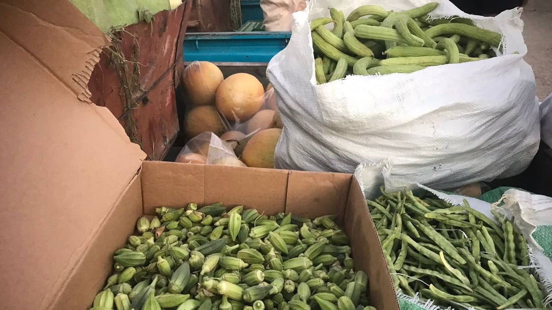 زراعة أبو غريب ليست بخير.. أمطار أيار هي السبب وحر حزيران (صور وأسعار)