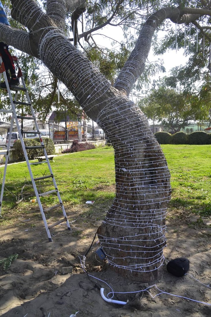 البياع: متنزه “بغداد” بحلة جديدة.. إنارة ليلية تحيي الحديقة حتى الصباح