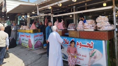 صور: عوائل المسيب تشتري اللحوم المجمدة أكثر في رمضان.. “الكفيل” والتركي