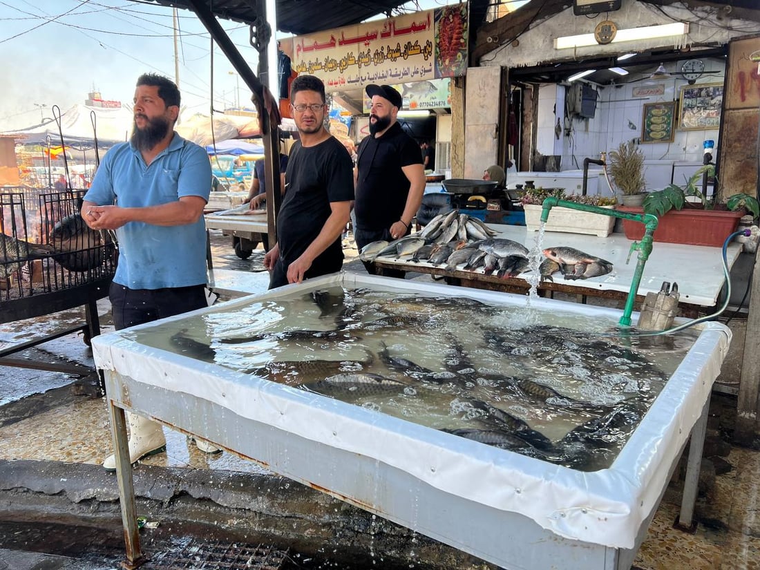 سوق الشوّاكة: الأربعاء مخصص لأكل السمك عند البغداديين وهذه أسعار البني والكارب (صور)
