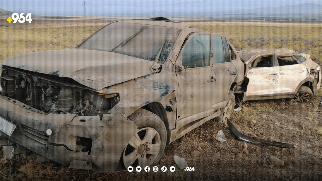 پێشبڕکێیان کرد و وەرگەڕان