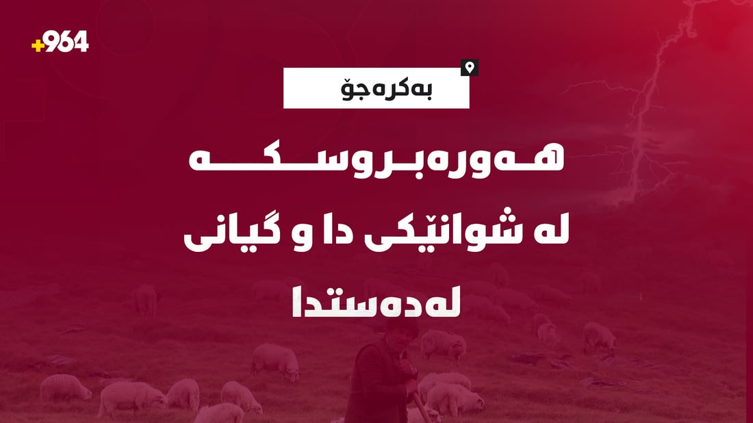 شوانکارەیەک بە هەورەبروسک گیانی سپارد