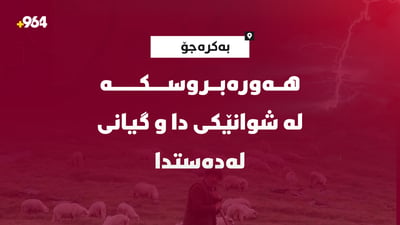 شوانکارەیەک بە هەورەبروسک گیانی سپارد