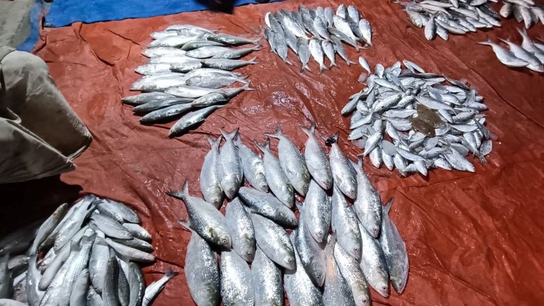 شباك صيادي البصرة خالية.. الأسماك لم تغادر أعماق الخليج منذ 5 أيام