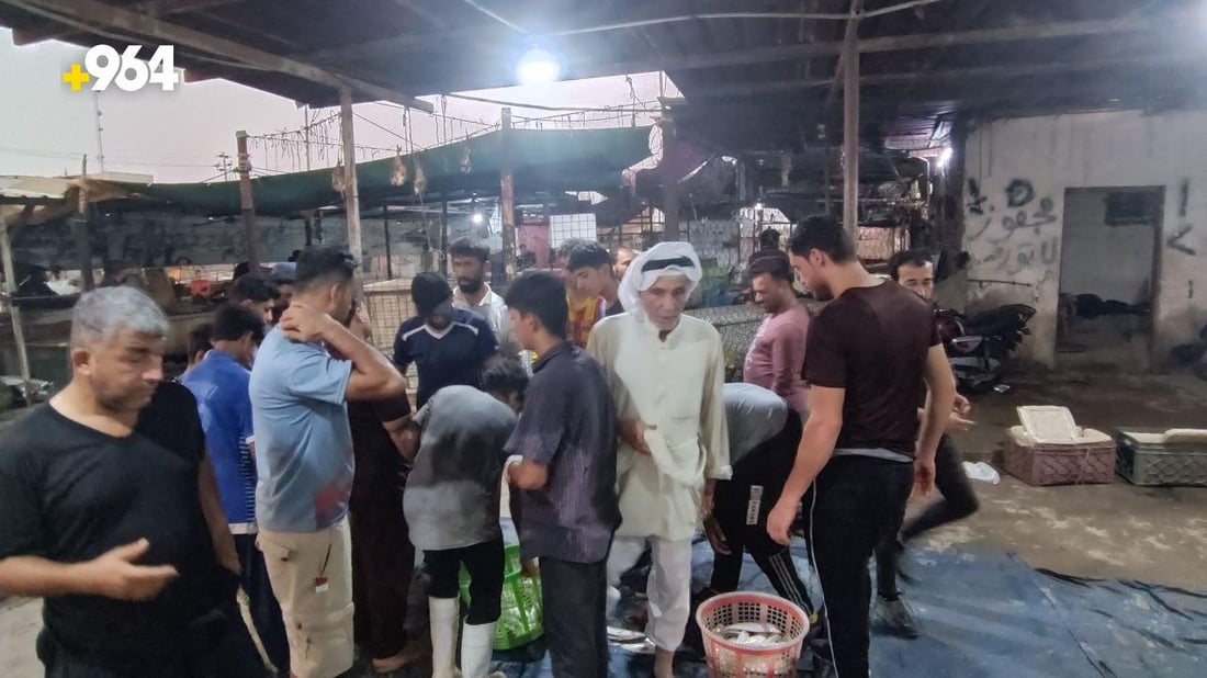 صور من مرسى النقعة.. قائمة بأسعار السمك في مزاد الفاو صبيحة الخميس