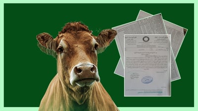 له ‌گه‌رمیان هۆشدارى ده‌درێته‌ نزیكه‌ى 80 پڕۆژه‌ى سامانى ئاژه‌ڵ