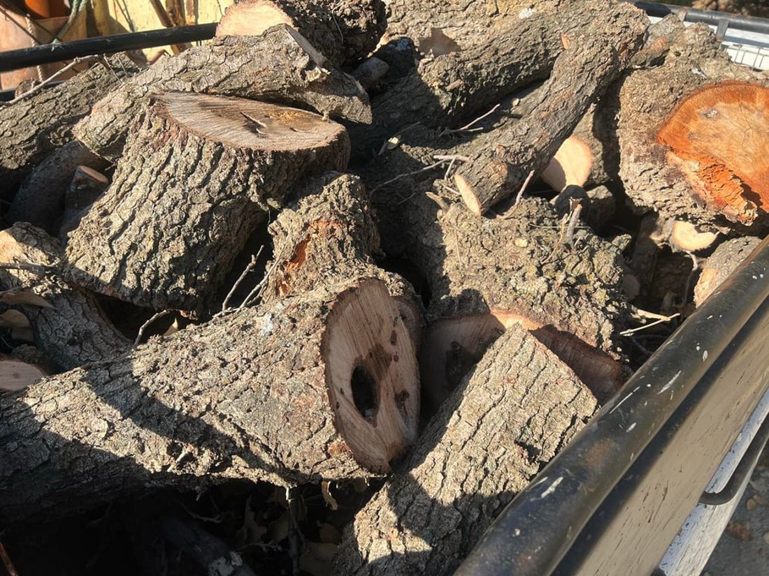 دوو ئۆتۆمبێل داری تەڕیان بڕی؛ فریای خۆگەرمکردنەوە نەکەوتن و دەستگیرکران