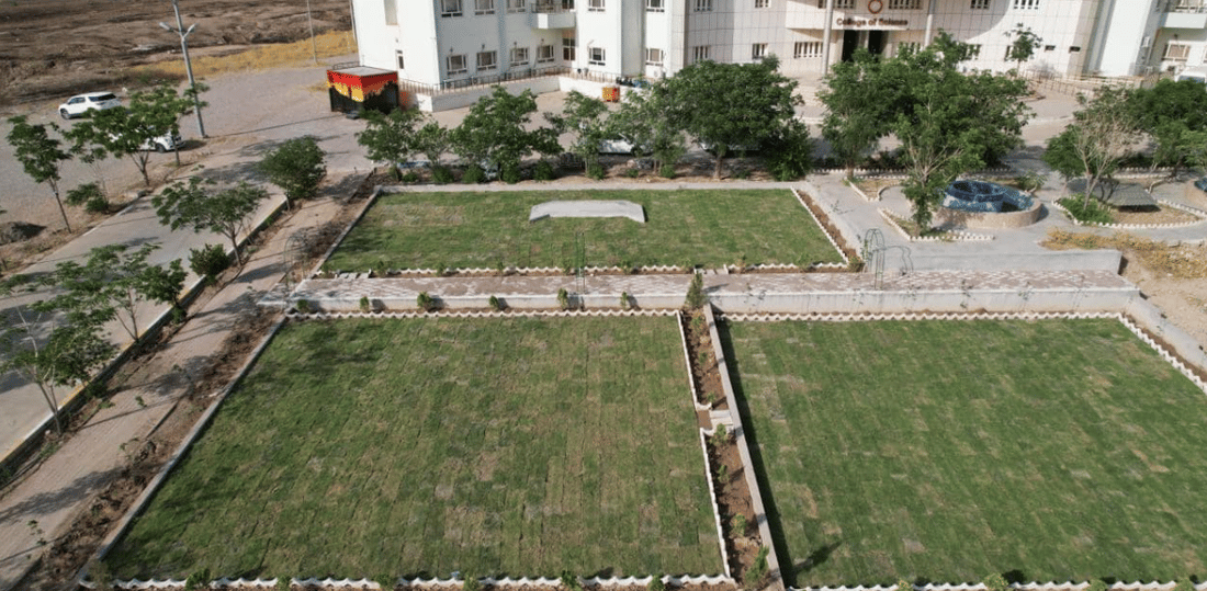 دوو باخچە بە دوو روبەری جیاواز لەناو زانکۆی گەرمیان دروست کرا