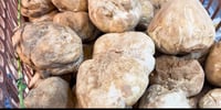 Local truffles dominate Sulaymaniyah market