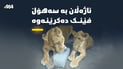 ورچ و پڵنگەکەی هەولێر بە سەهۆڵ فێنک دەکرێنەوە