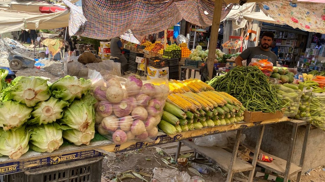 أول قطفة شتوية وصلت البصرة مبكراً والأسعار أقل من 1000 (صور)