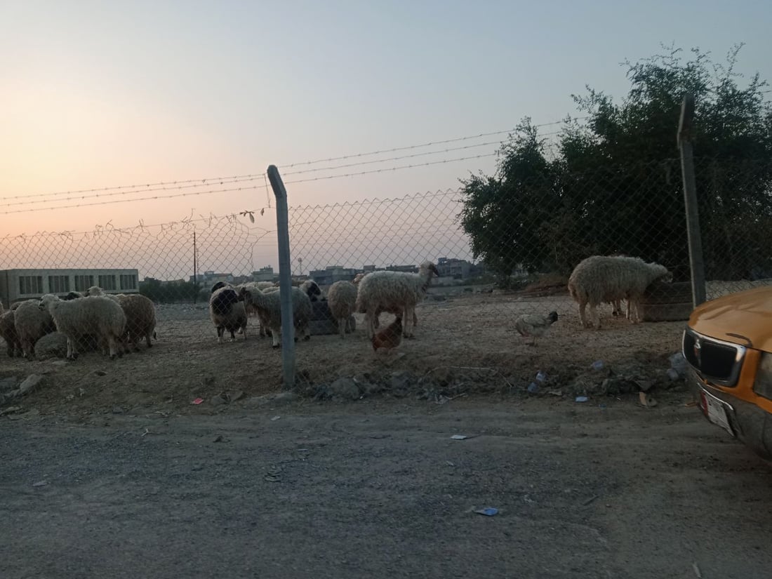 صور: استغاثة من محيط “المقبرة المقرفة” في بغداد الجديدة