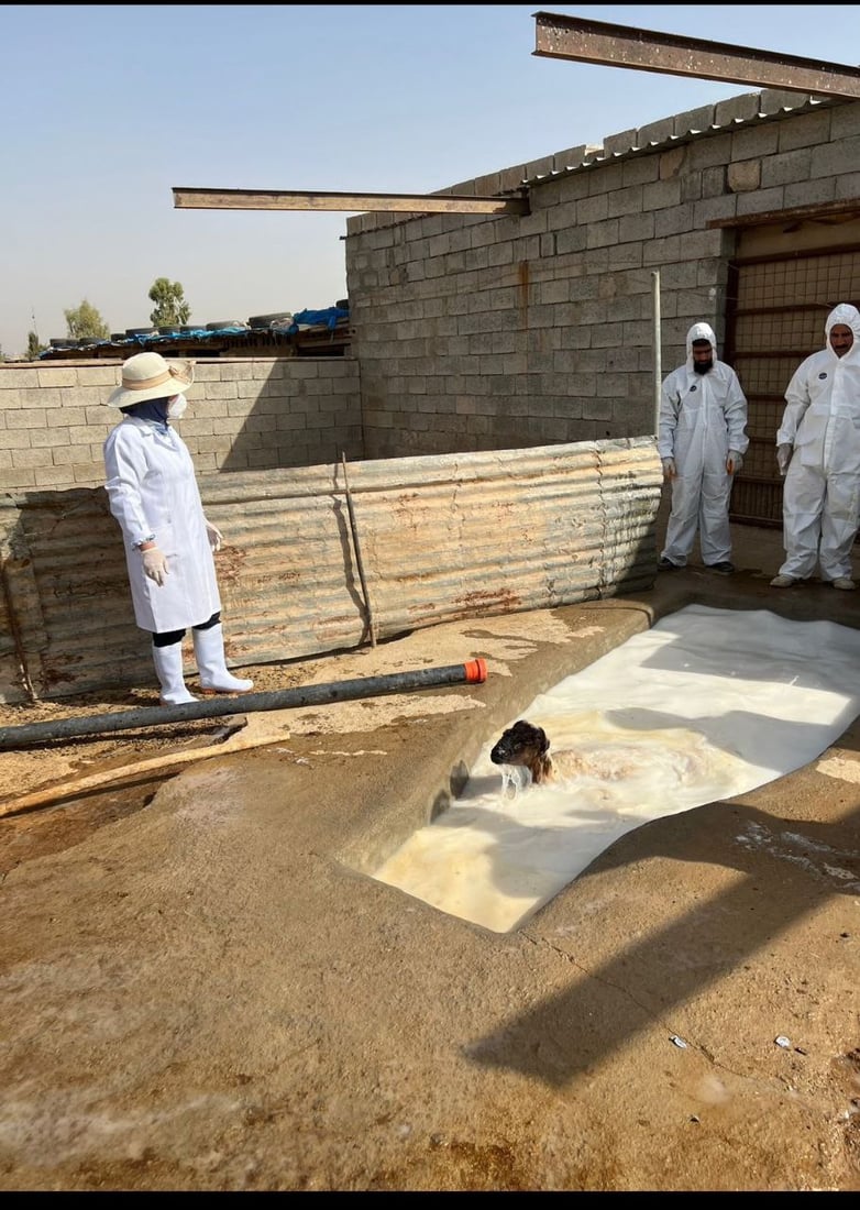 یه‌كه‌م حاڵه‌تى گیان له‌ده‌ستدان به‌هۆى تای خوێنبەربون له‌كه‌ركوك تۆمار كرا