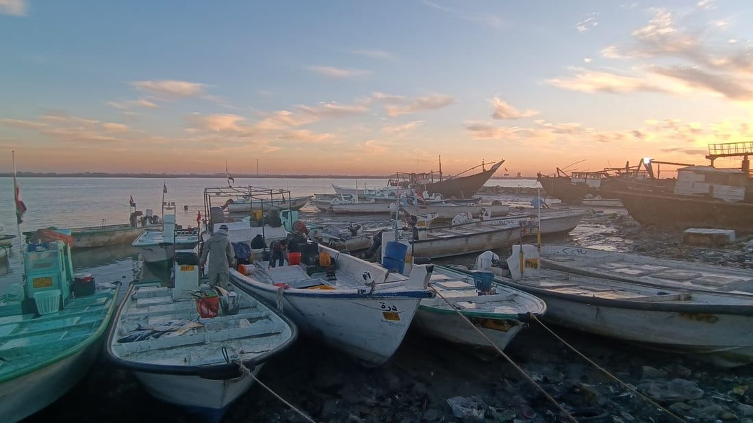 رياح جنوبية دافئة مكّنت الصيادين من العودة بأسماك وفيرة إلى مرسى النقعة (صور)
