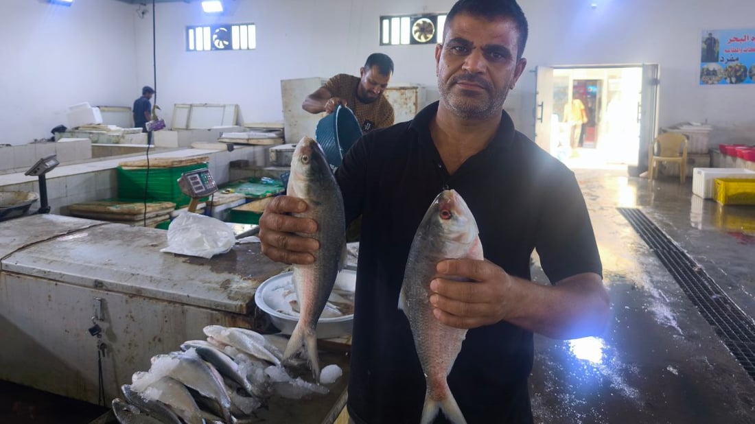 صور: رياح شديدة عصفت بصيد الجمعة.. شح المعروض رفع أسعار السمك بمرسى النقعة