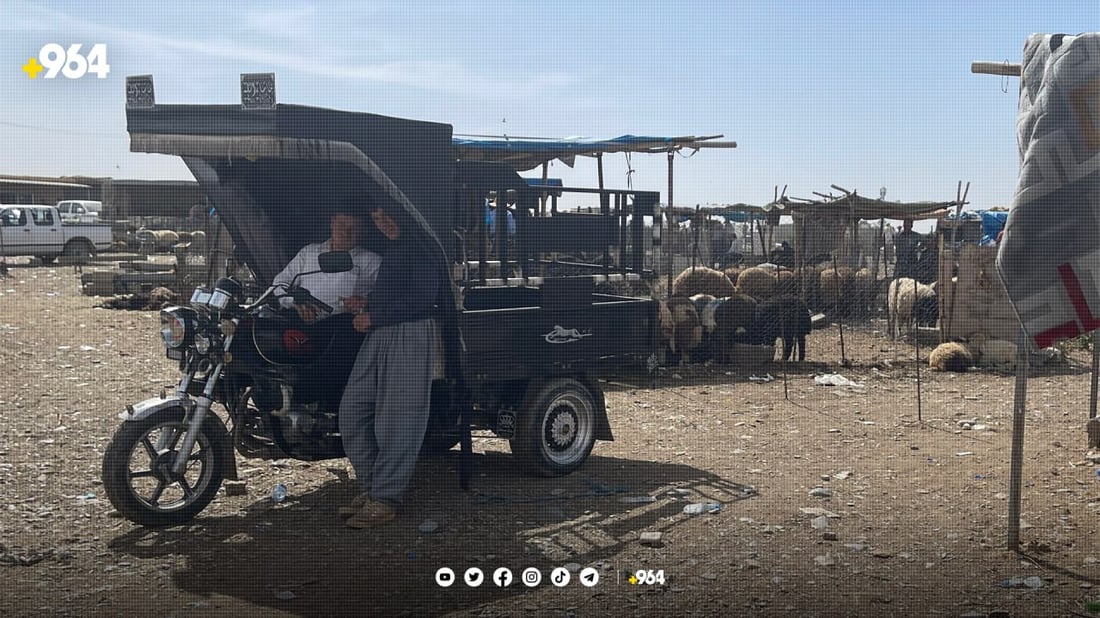 سلێمانی سێ شوێن بۆ ئاژەڵ فرۆشتن دەستنیشانکرا