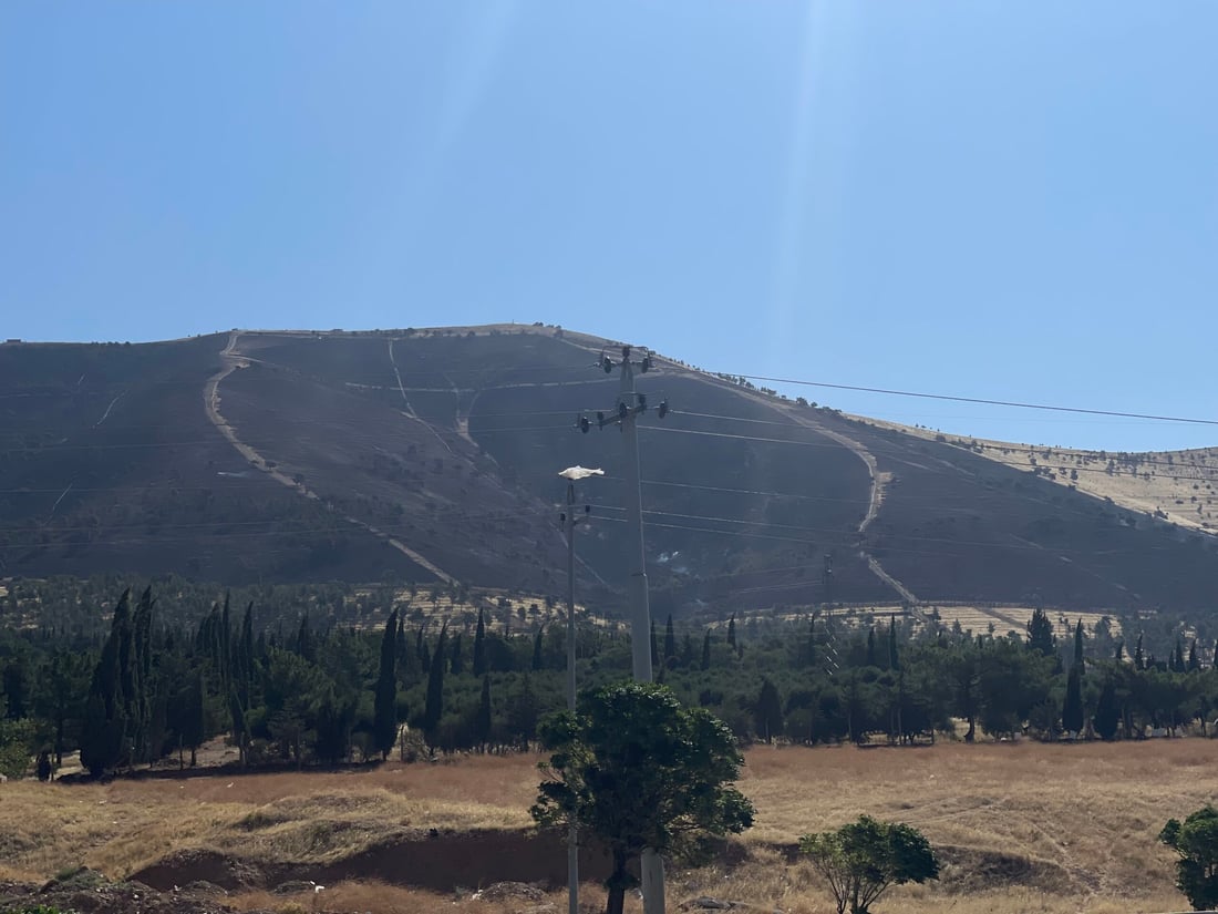 964mediaصورة من منصة (شبكة): 