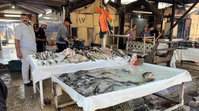 سوق الشوّاكة: الأربعاء مخصص لأكل السمك عند البغداديين وهذه أسعار البني والكارب (صور)