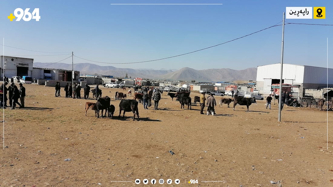 خواست لەسەر ئاژەڵی ناوخۆیی زیادی کردووە