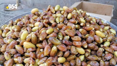 “خضراوي” البصرة يخسر الصدارة في أسواق هيت بعد نزول الرطب المحلي (صور)