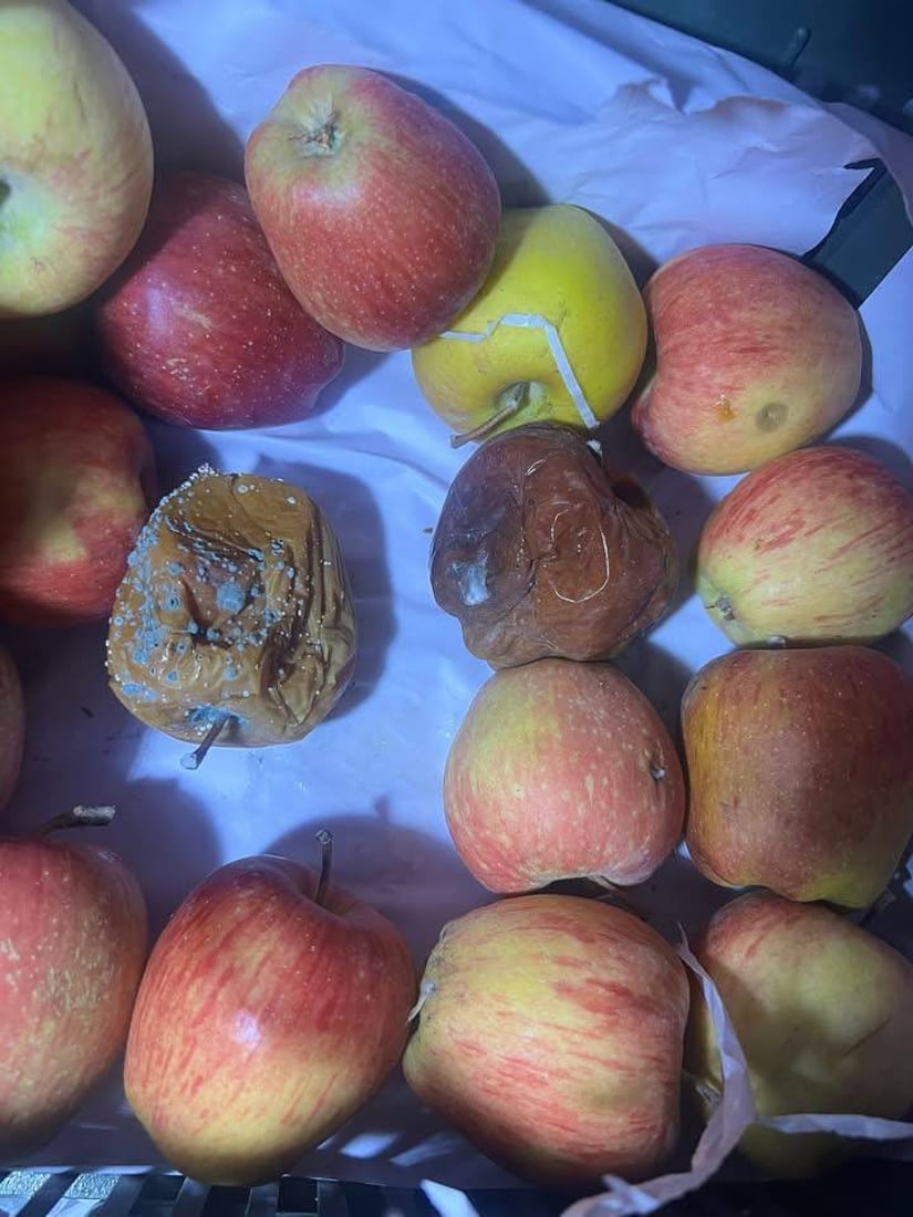 لە دەروازەی کێلێ 10 تۆن سێوی خراپبوو دەستى بەسەرداگیرا