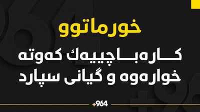 لەسەر ستوونی کارەبا کەوتە خوارەوە و گیانی لەدەست دا