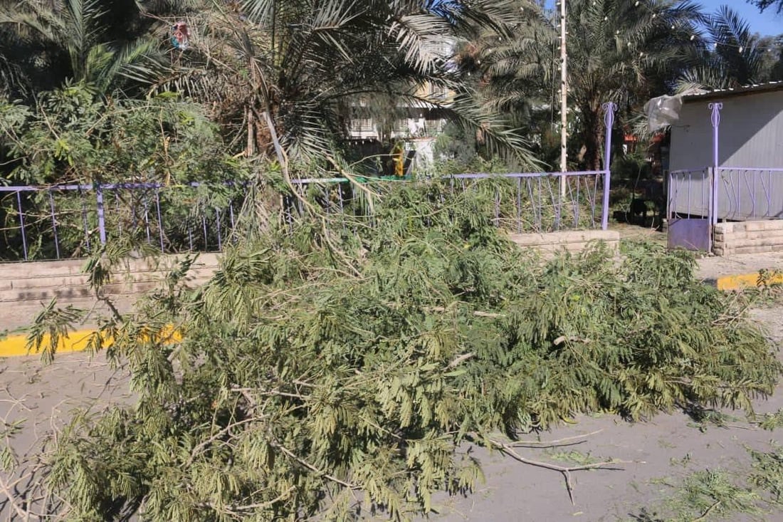 حزن في أقدم أحياء كربلاء على أشجار “البارودي”.. قطعوا ذاكرة طفولتنا