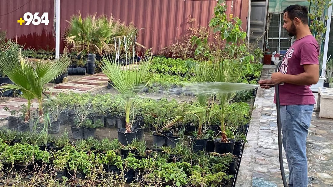 964mediaصورة من منصة (شبكة): 