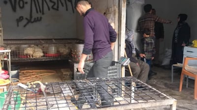 بەهۆی دوکانی مریشکفرۆشیەکەی بەیاعیەکەی فەرامۆش کردبوو