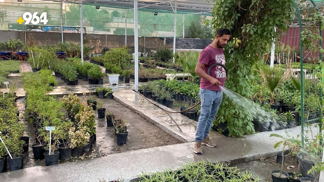 964mediaصورة من منصة (شبكة): 