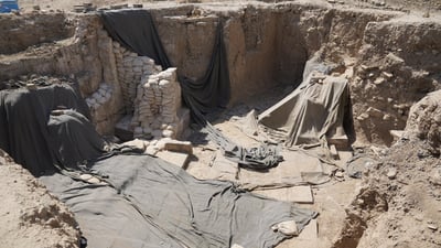 گەورەترین “گای باڵدار”ی سەردەمی ئاشوورییەكان دۆزرایەوە