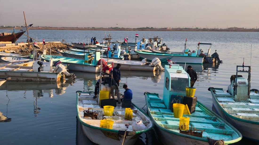 البحر يجود على البصرة.. أسعار الأسماك تهبط و”أكل الفقير” صار بألف دينار