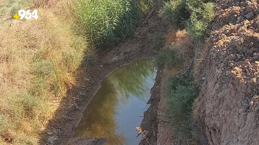 964mediaصورة من منصة (شبكة): 