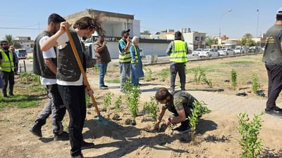 لە کەرکوک 20 هەزار نەمام دەچێندرێت