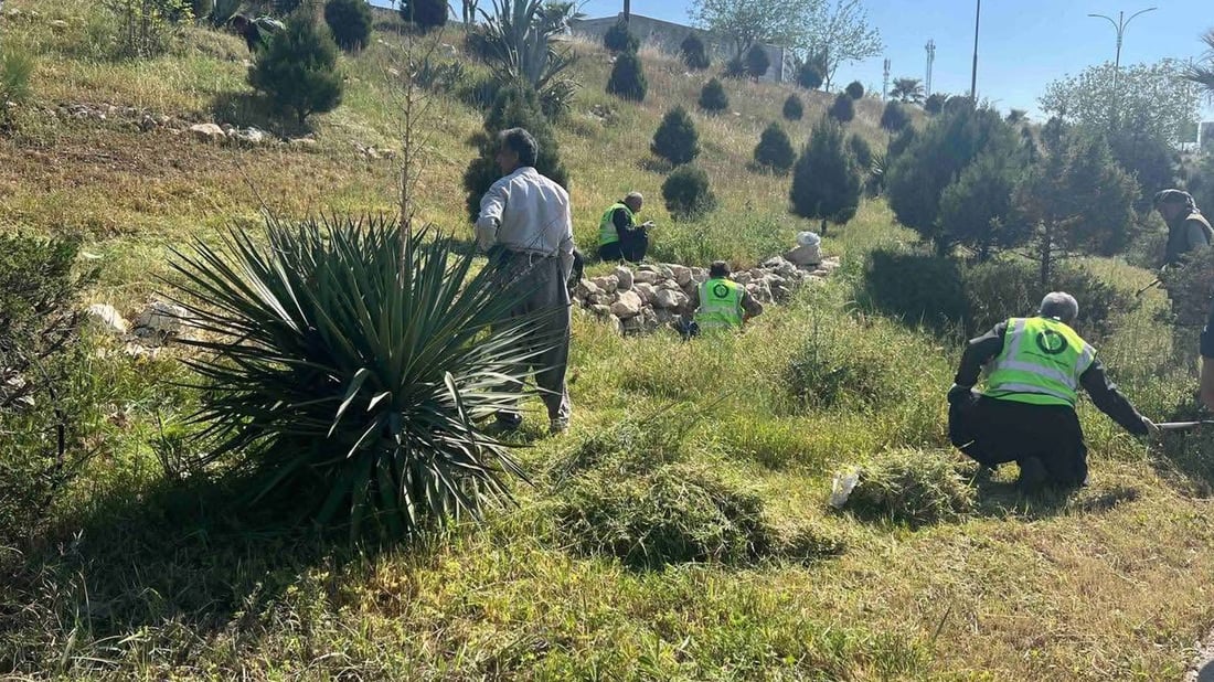 بەهارە شارەوانی دەستیداوەتە رنینەوەی گژوگیای شەقامەکانی سلێمانی