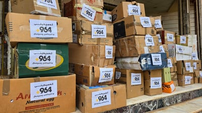 964media delivers 6,000 books to Chamchamal library after floods destroyed collection