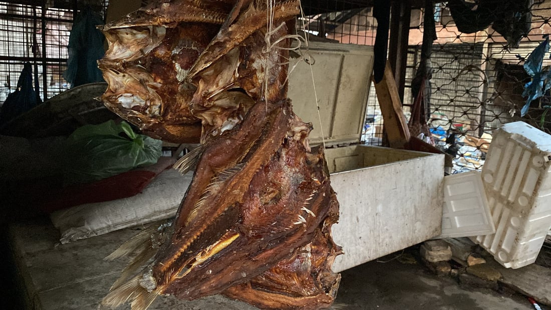 حان وقتها.. “مسموطة” أم سالم ستسافر من “هرج” إلى أمريكا وأوروبا (صور)