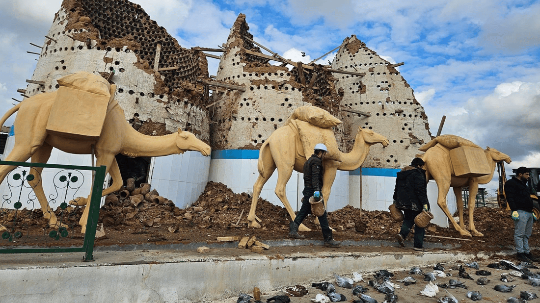 بەهۆی بارانبارینەوە سەدان کۆتر مرداربوونەوە