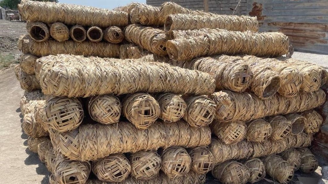 يجب أن تدوسها السيارات.. صور لصناعة أعشاش الطيور في الجبايش من قصب الدلمج الفاخر