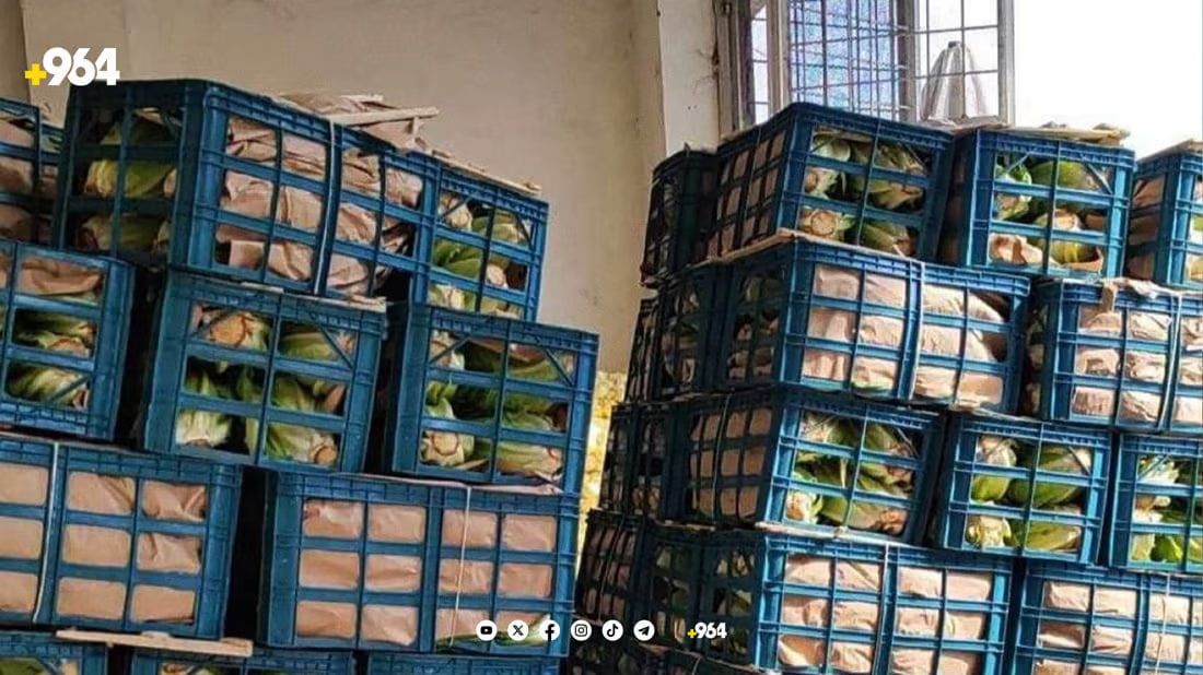 Erbil agriculture directorate cracks down on Iranian lettuce imports