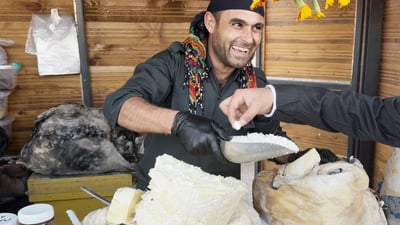 پەنیرەکانی مام زیرۆ رەنگ و بۆنێکی تایبەتیان داوە بە فێستیڤاڵی پاییزە