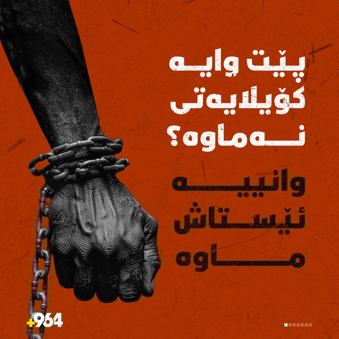 +964صورة من منصة (شبكة): 