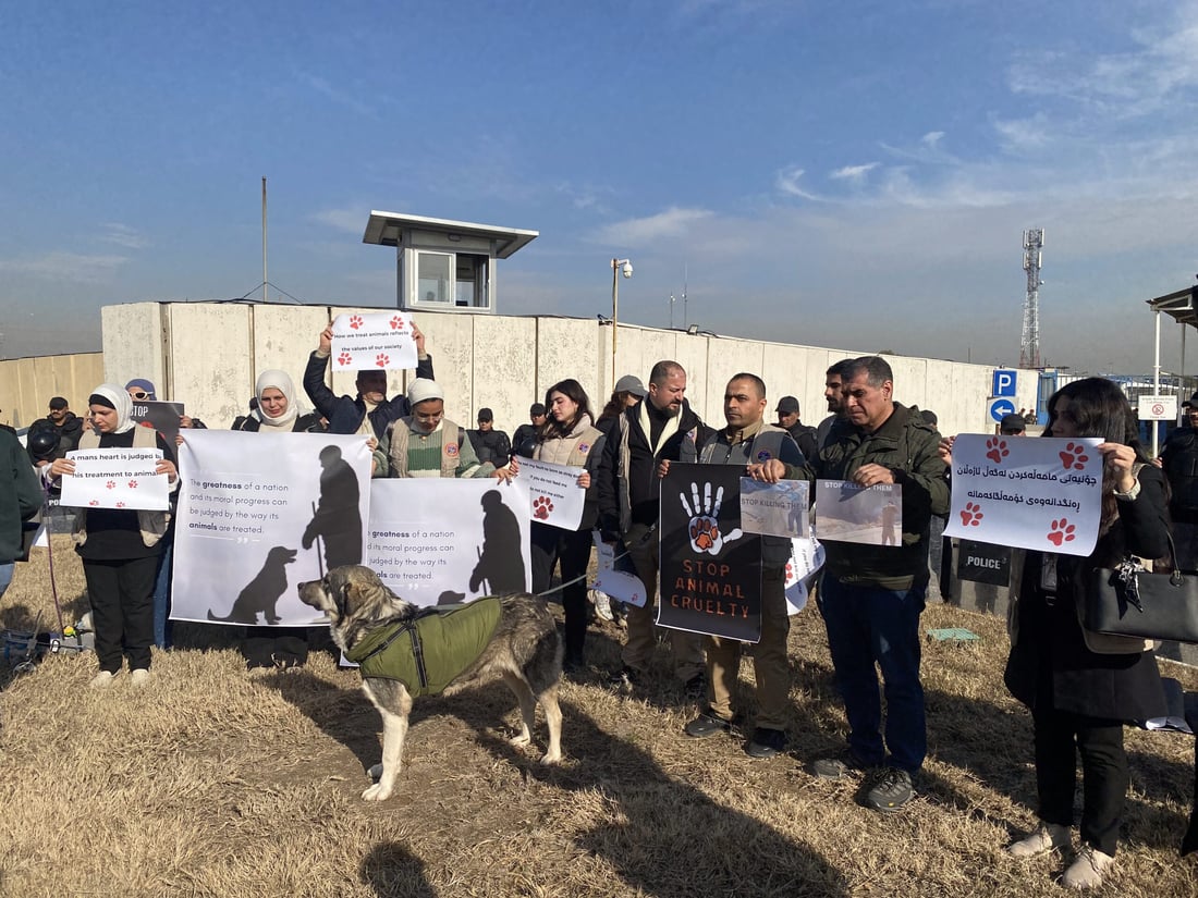 ئاژەڵدۆستان دژی کوشتنی سەگ لەبەردەم بارەگای یو ئێن گردبوونەوە